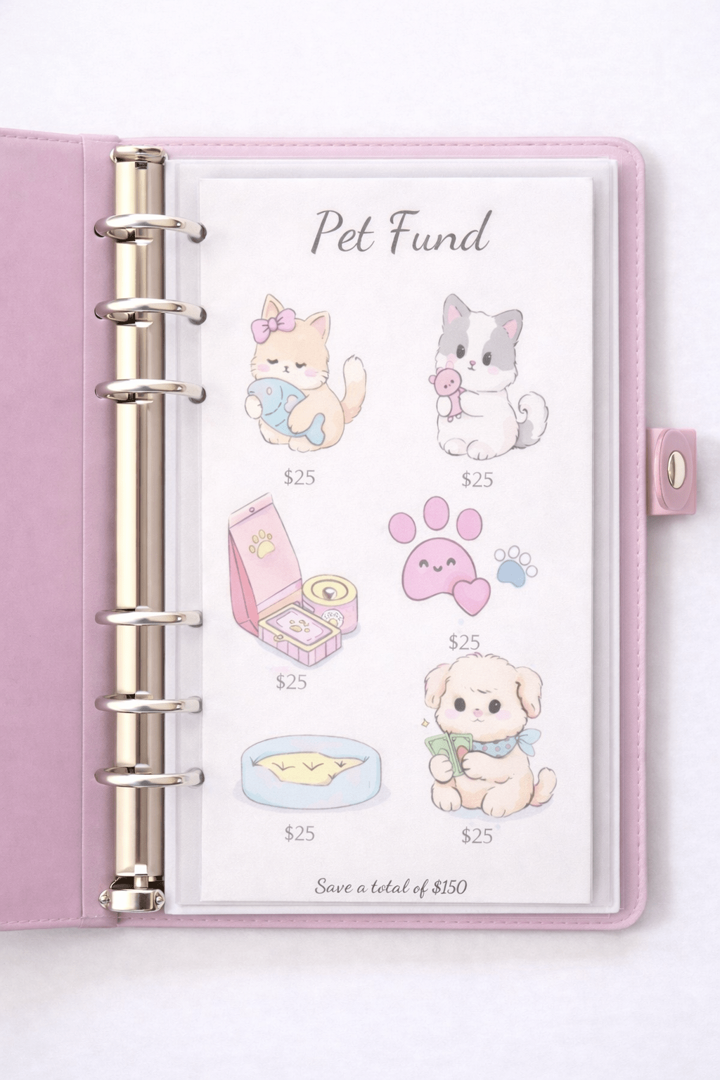 Cash Stuffing Challenge - "Pet Fund” - MARIAANDHERJOURNAL