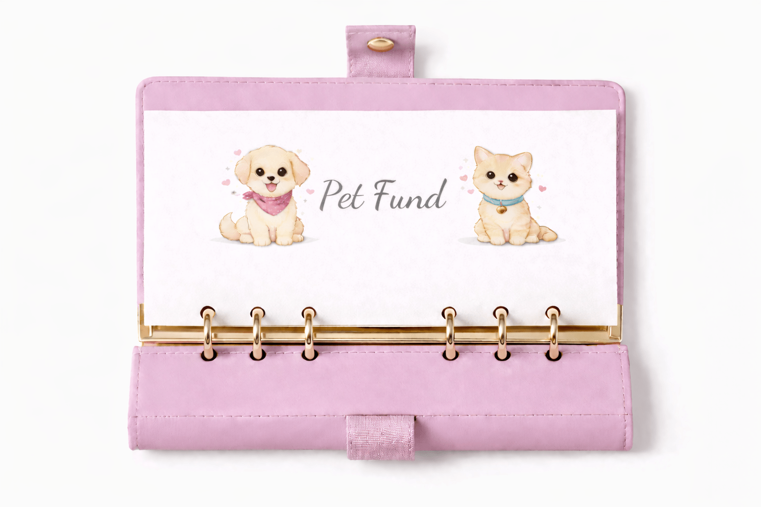 Cash Stuffing Challenge - "Pet Fund” - MARIAANDHERJOURNAL